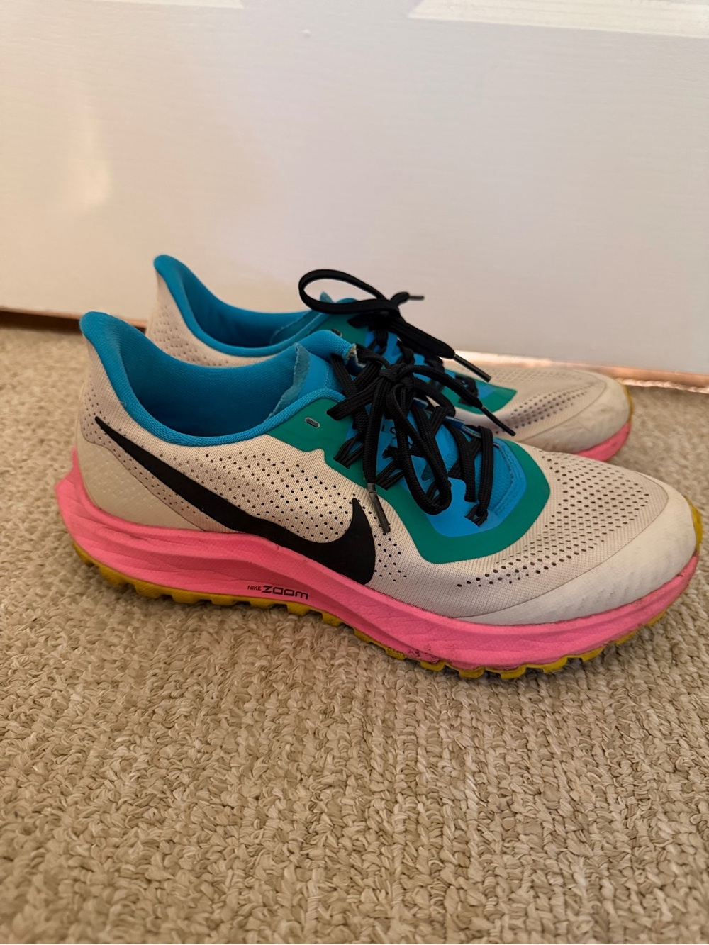 Nike Women’s Pegasus Running Shoes